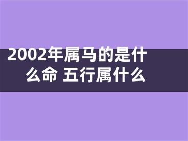 2002年属马的是什么命 五行属什么