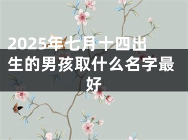 2025年七月十四出生的男孩取什么名字最好