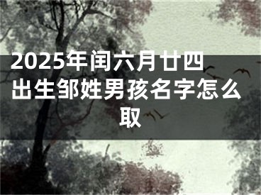 2025年闰六月廿四出生邹姓男孩名字怎么取