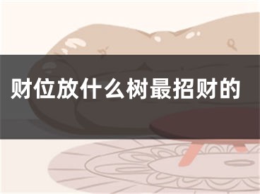 财位放什么树最招财的