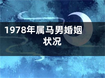 1978年属马男婚姻状况