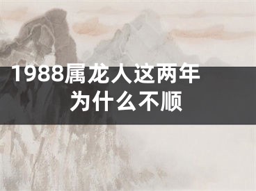 1988属龙人这两年为什么不顺