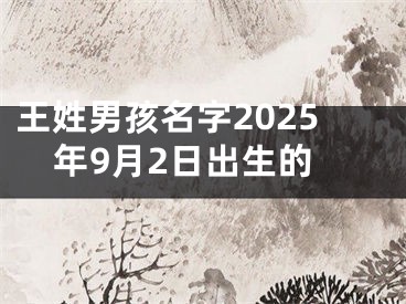 王姓男孩名字2025年9月2日出生的
