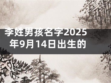 李姓男孩名字2025年9月14日出生的