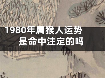 1980年属猴人运势是命中注定的吗