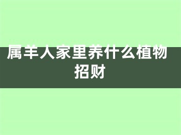 属羊人家里养什么植物招财
