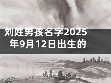 刘姓男孩名字2025年9月12日出生的