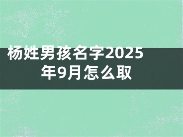 杨姓男孩名字2025年9月怎么取