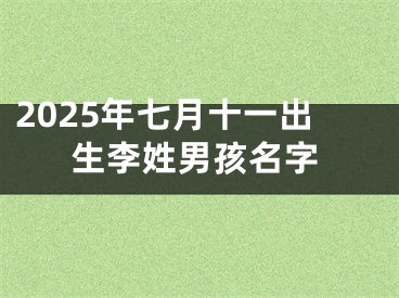 2025年七月十一出生李姓男孩名字
