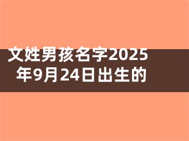 文姓男孩名字2025年9月24日出生的
