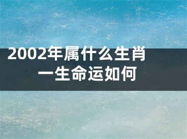 2002年属什么生肖 一生命运如何