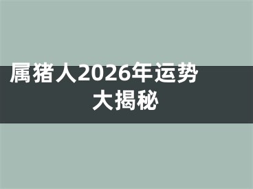 属猪人2026年运势大揭秘