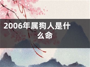 2006年属狗人是什么命