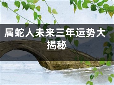 属蛇人未来三年运势大揭秘
