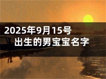 2025年9月15号出生的男宝宝名字