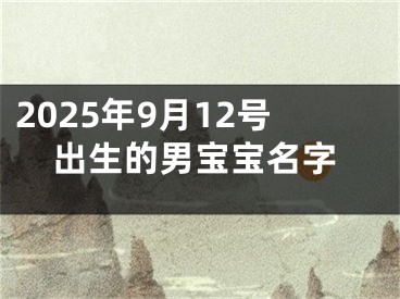 2025年9月12号出生的男宝宝名字