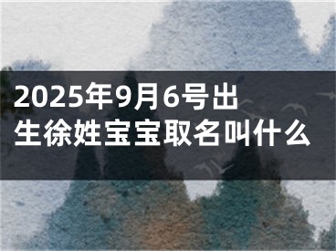 2025年9月6号出生徐姓宝宝取名叫什么