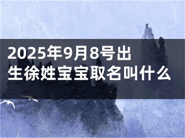 2025年9月8号出生徐姓宝宝取名叫什么