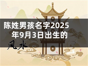 陈姓男孩名字2025年9月3日出生的
