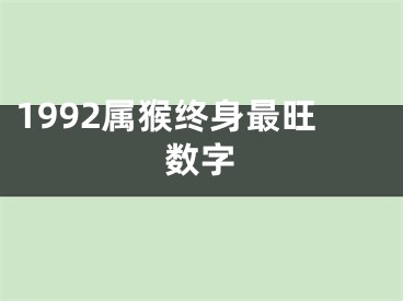 1992属猴终身最旺数字
