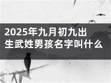 2025年九月初九出生武姓男孩名字叫什么