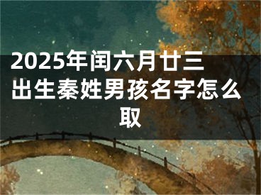 2025年闰六月廿三出生秦姓男孩名字怎么取