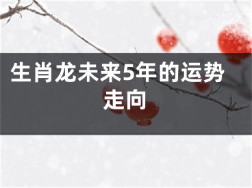 生肖龙未来5年的运势走向