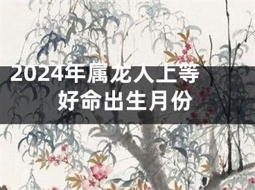 2024年属龙人上等好命出生月份