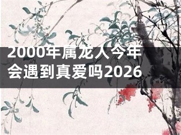 2000年属龙人今年会遇到真爱吗2026