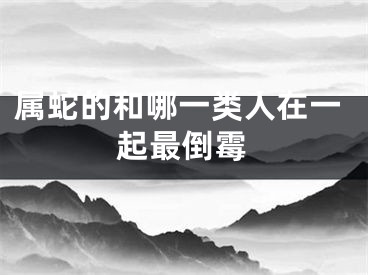 属蛇的和哪一类人在一起最倒霉
