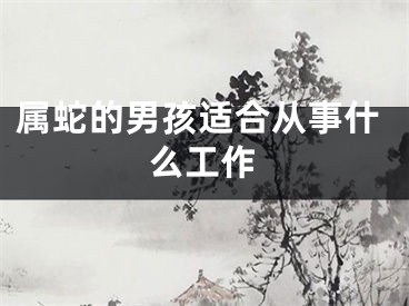 属蛇的男孩适合从事什么工作