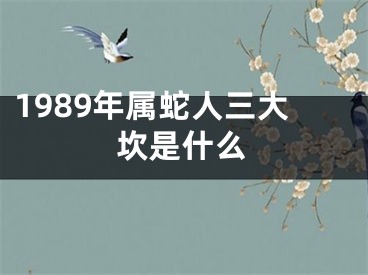 1989年属蛇人三大坎是什么