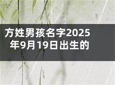 方姓男孩名字2025年9月19日出生的