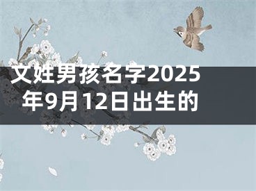 文姓男孩名字2025年9月12日出生的