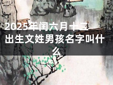 2025年闰六月十二出生文姓男孩名字叫什么