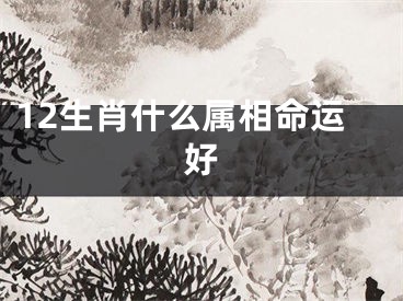 12生肖什么属相命运好