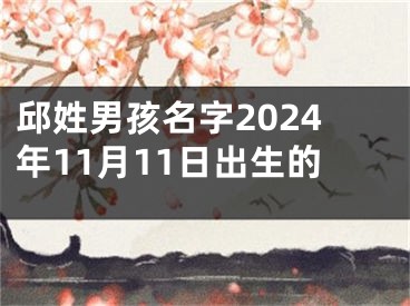 邱姓男孩名字2024年11月11日出生的
