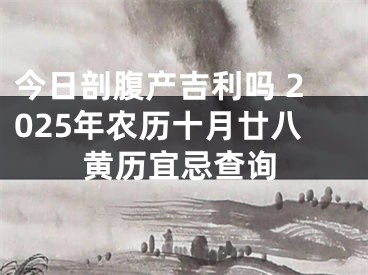 今日剖腹产吉利吗 2025年农历十月廿八黄历宜忌查询