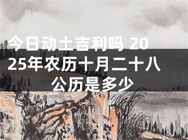 今日动土吉利吗 2025年农历十月二十八公历是多少