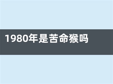 1980年是苦命猴吗