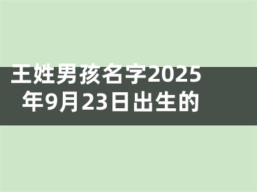 王姓男孩名字2025年9月23日出生的