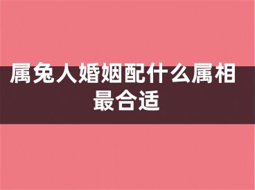 属兔人婚姻配什么属相最合适