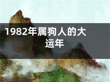 1982年属狗人的大运年
