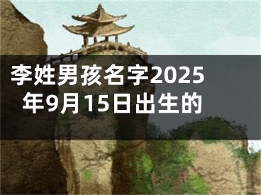李姓男孩名字2025年9月15日出生的