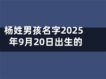 杨姓男孩名字2025年9月20日出生的