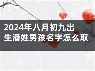 2024年八月初九出生潘姓男孩名字怎么取