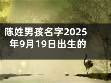 陈姓男孩名字2025年9月19日出生的