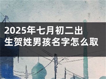 2025年七月初二出生贺姓男孩名字怎么取