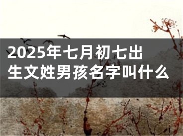 2025年七月初七出生文姓男孩名字叫什么