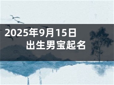 2025年9月15日出生男宝起名
